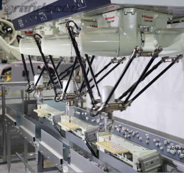 Parallel sorting robot